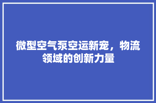 微型空气泵空运新宠，物流领域的创新力量 汽车维修