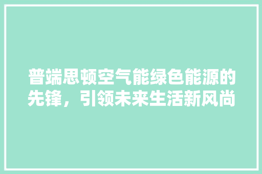 普端思顿空气能绿色能源的先锋，引领未来生活新风尚