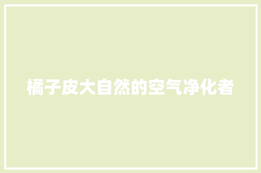 橘子皮大自然的空气净化者 汽车维修