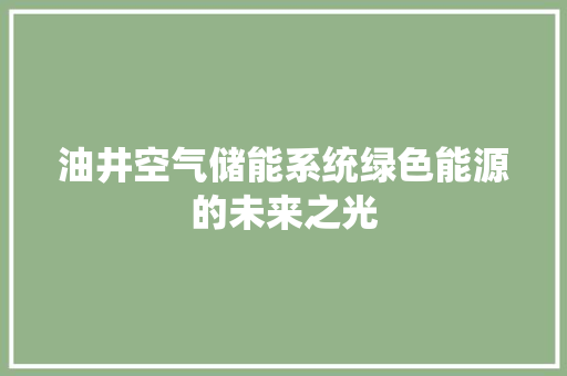油井空气储能系统绿色能源的未来之光