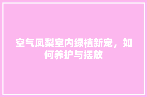 空气凤梨室内绿植新宠，如何养护与摆放