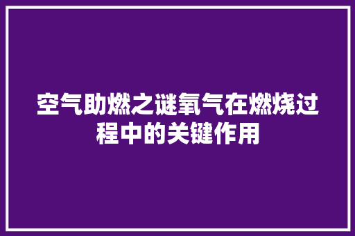 空气助燃之谜氧气在燃烧过程中的关键作用