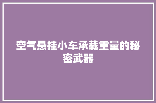 空气悬挂小车承载重量的秘密武器