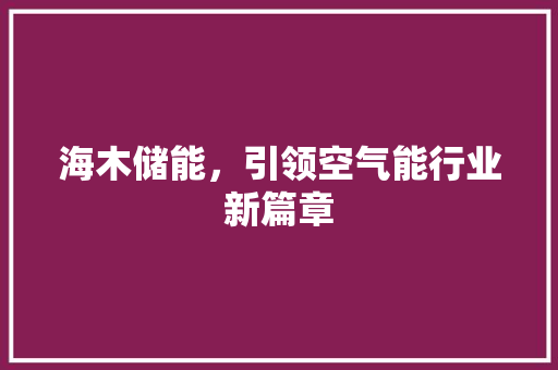海木储能，引领空气能行业新篇章 厨房维修