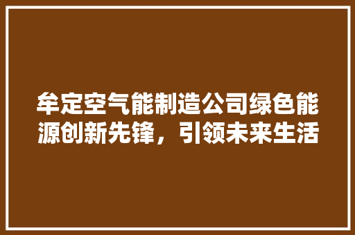 牟定空气能制造公司绿色能源创新先锋，引领未来生活新风尚