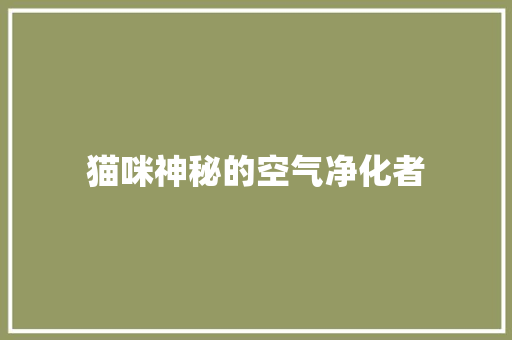 猫咪神秘的空气净化者 厨房维修
