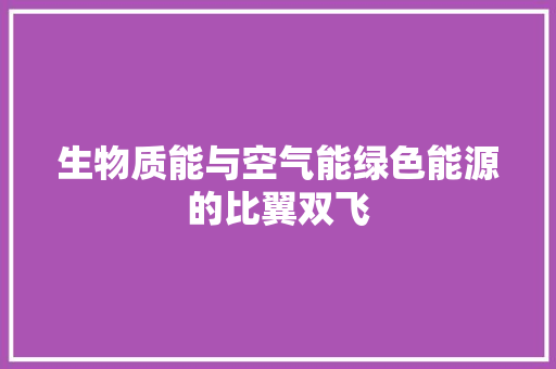 生物质能与空气能绿色能源的比翼双飞 厨房维修