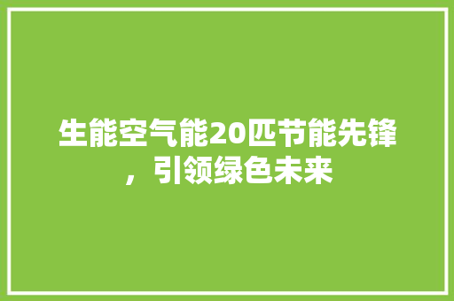 生能空气能20匹节能先锋，引领绿色未来