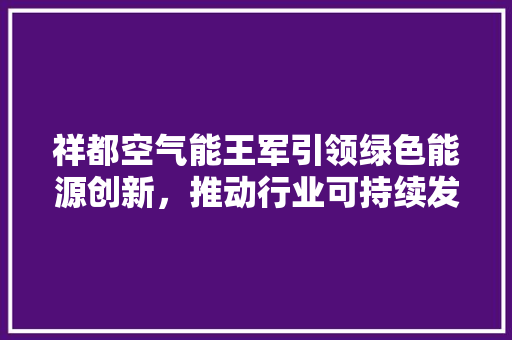 祥都空气能王军引领绿色能源创新，推动行业可持续发展