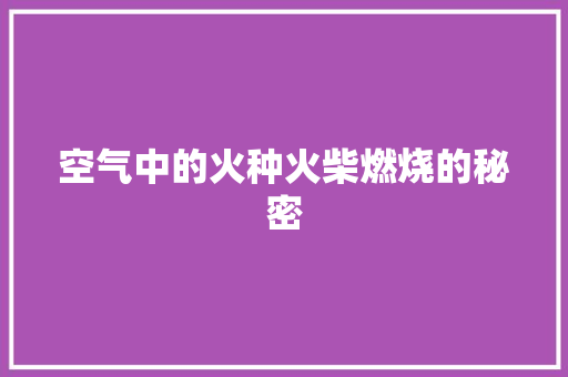 空气中的火种火柴燃烧的秘密