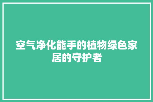空气净化能手的植物绿色家居的守护者