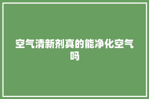 空气清新剂真的能净化空气吗 汽车维修