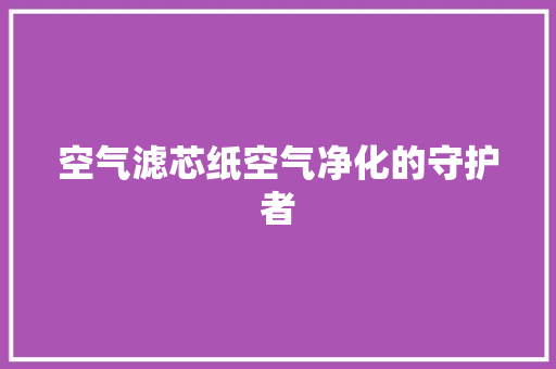 空气滤芯纸空气净化的守护者 综合便民