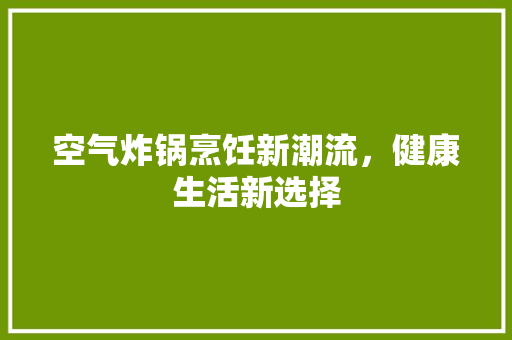 空气炸锅烹饪新潮流，健康生活新选择