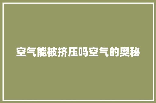 空气能被挤压吗空气的奥秘
