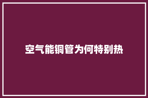 空气能铜管为何特别热 厨房维修