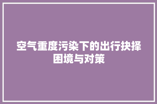 空气重度污染下的出行抉择困境与对策 厨房维修
