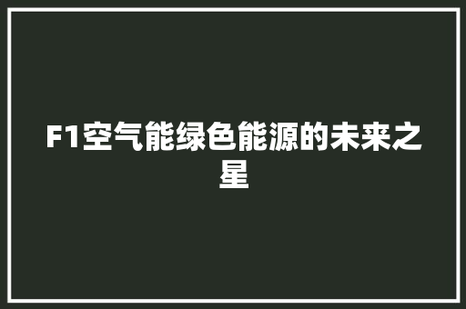 F1空气能绿色能源的未来之星 厨房维修