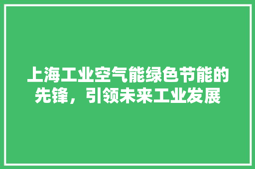 上海工业空气能绿色节能的先锋，引领未来工业发展 墙体维修