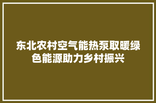 东北农村空气能热泵取暖绿色能源助力乡村振兴 综合便民