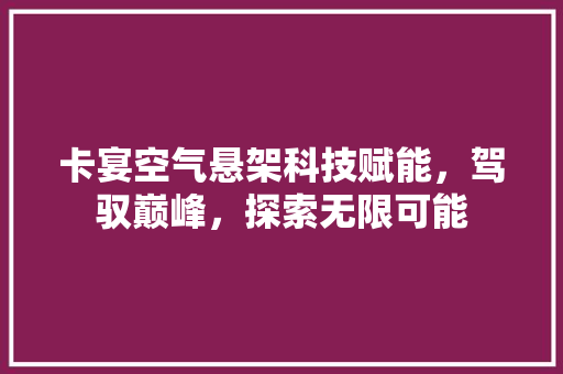 卡宴空气悬架科技赋能，驾驭巅峰，探索无限可能 综合便民