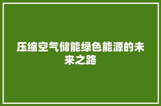 压缩空气储能绿色能源的未来之路 综合便民