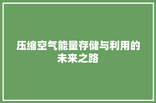 压缩空气能量存储与利用的未来之路 厨房维修