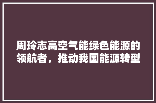 周玲志高空气能绿色能源的领航者，推动我国能源转型新篇章 综合便民