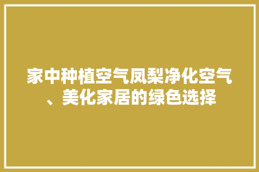 家中种植空气凤梨净化空气、美化家居的绿色选择 厨房维修