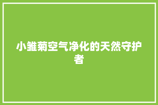 小雏菊空气净化的天然守护者 汽车维修
