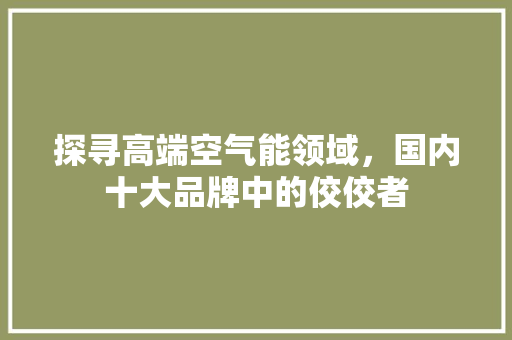 探寻高端空气能领域，国内十大品牌中的佼佼者 家电维修
