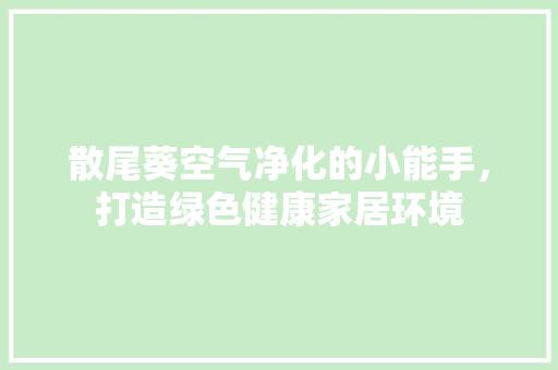 散尾葵空气净化的小能手，打造绿色健康家居环境 综合便民