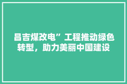昌吉煤改电”工程推动绿色转型，助力美丽中国建设 综合便民