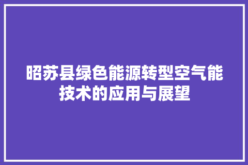 昭苏县绿色能源转型空气能技术的应用与展望 家电维修