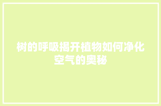 树的呼吸揭开植物如何净化空气的奥秘 厨房维修