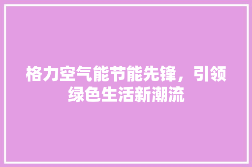 格力空气能节能先锋，引领绿色生活新潮流