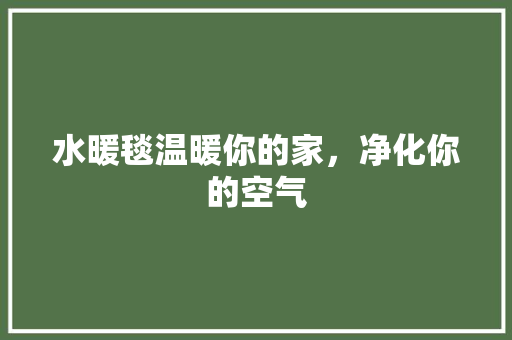 水暖毯温暖你的家，净化你的空气 厨房维修