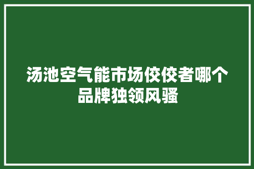 汤池空气能市场佼佼者哪个品牌独领风骚