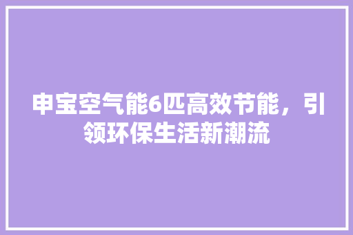 申宝空气能6匹高效节能，引领环保生活新潮流