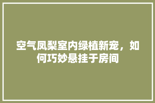 空气凤梨室内绿植新宠，如何巧妙悬挂于房间