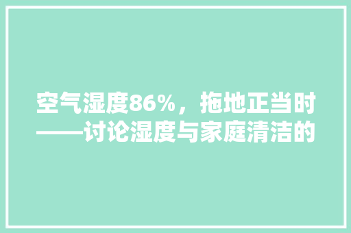 空气湿度86%，拖地正当时——讨论湿度与家庭清洁的奥秘