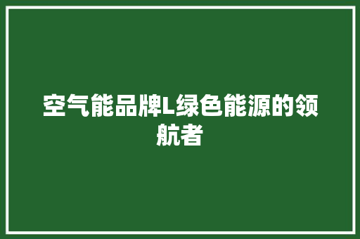 空气能品牌L绿色能源的领航者 厨房维修