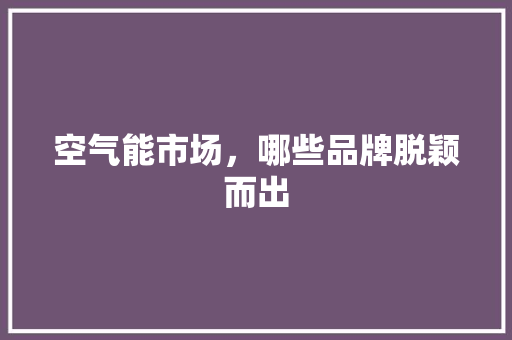 空气能市场，哪些品牌脱颖而出