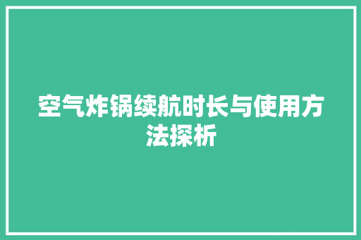 空气炸锅续航时长与使用方法探析