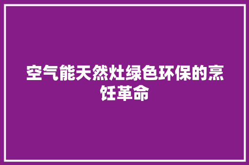 空气能天然灶绿色环保的烹饪革命