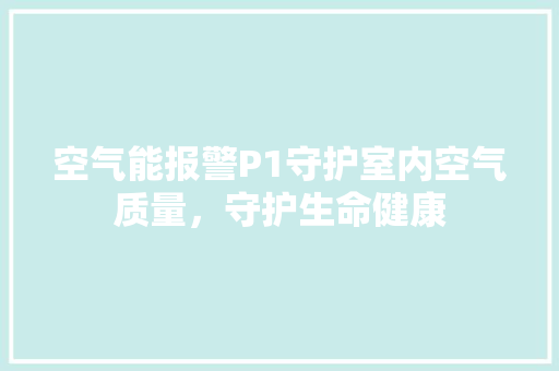 空气能报警P1守护室内空气质量，守护生命健康