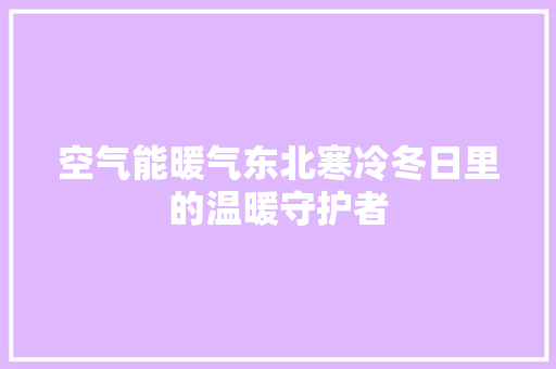 空气能暖气东北寒冷冬日里的温暖守护者 家电维修