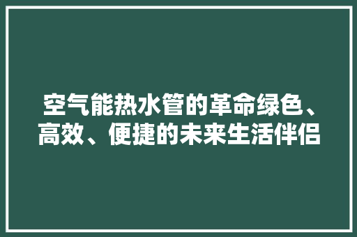 空气能热水管的革命绿色、高效、便捷的未来生活伴侣 家电维修