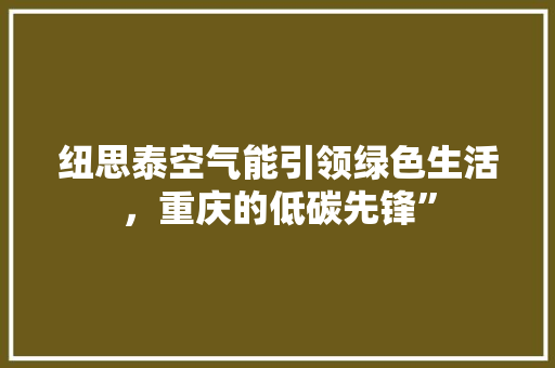 纽思泰空气能引领绿色生活，重庆的低碳先锋”
