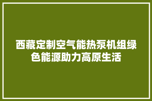 西藏定制空气能热泵机组绿色能源助力高原生活